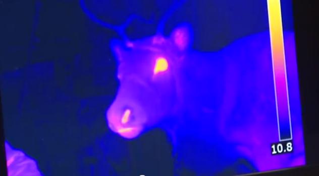 Fura tudományos teóriák a Mikulásról